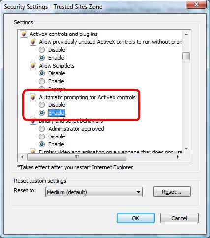 Enable Automatic prompting for ActiveX controls Prompt Initialize and script active controls not