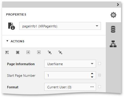 Expand the drop-down list for the Page Information property and select UserName.