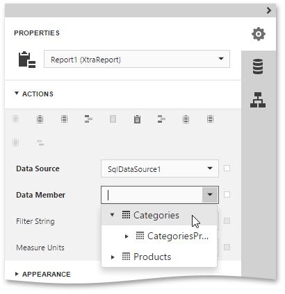To generate the detail report properly, set its Data Member