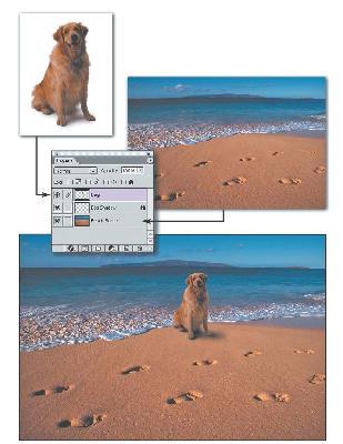 Suites Collection of standalone software programs packaged together Image-Editing Used to edit photographs and other images Also called photo-editing