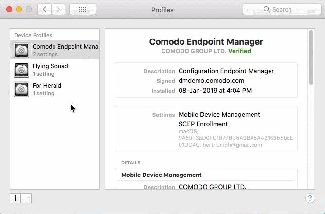 complete: The client will connect to the EM server: Endpoint