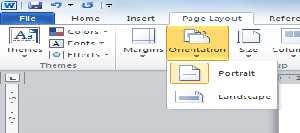 1 Page Layout Tab 3.1.1 Orientation