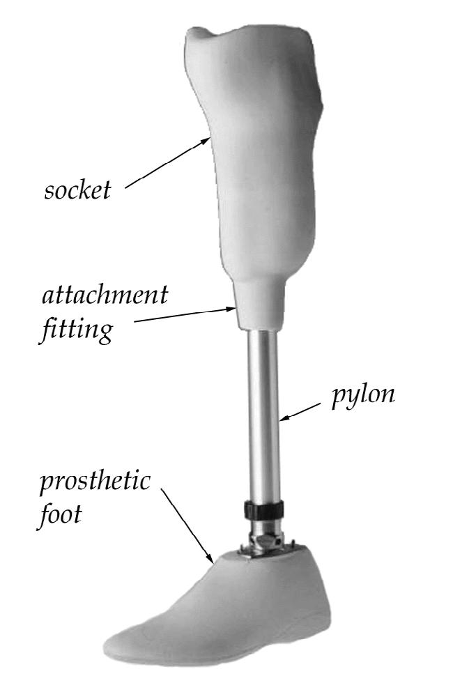 Health Science Center at San Antonio [Rogers et al., 2001], creates a computer model of the socket from digital source taken from the patient s residual limb.