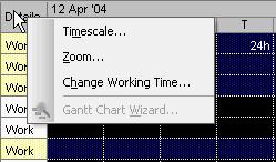 This gives you access to the Timescale, Zoom and Change Working Time dialog boxes.