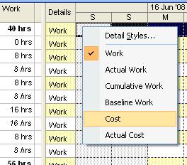 Notice that now both Work and Cost are listed in the Task Usage