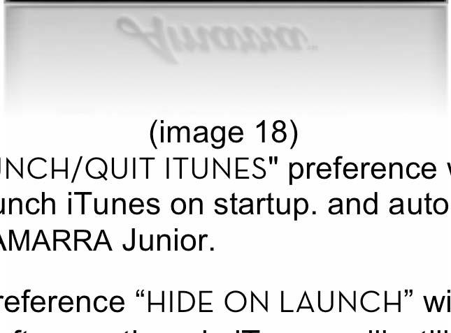 The AMARRA Junior preference HIDE ON LAUNCH will hide AMARRA Junior after launching the software, though itunes will still be visible.