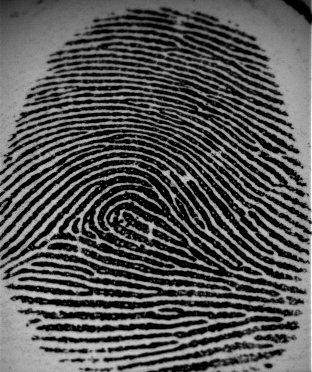 (a) (b) (c) (d) (e) (f) Fig. 2. Pre-processing of the fingerprint image.