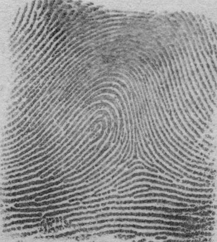 696 J. Feng, S. Yoon, and A.K. Jain (a) (b) (c) Fig. 1. Three types of fingerprint images. (a) Rolled fingerprint, (b) plain fingerprint and (c) latent fingerprint.