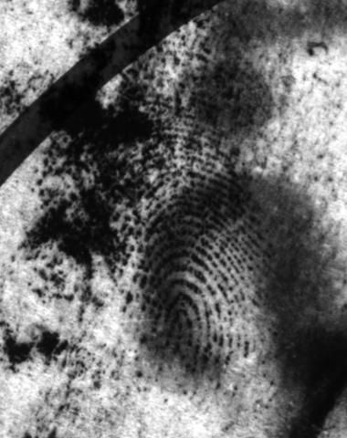 However, it is the matching of a latent fingerprint against a database of rolled/plain fingerprints that is of utmost importance in forensics and law enforcement to apprehend suspects.