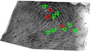 698 J. Feng, S. Yoon, and A.K. Jain fingerprint identification, especially in the case of fusing plain and rolled fingerprints for latent matching.