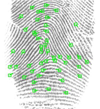 These fusion approaches are evaluated according to the matching accuracy in searching latent fingerprints against rolled and plain fingerprints.