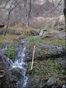 There is no flow gage on Chapman Creek, so the range of flows is unknown. Upstream of the chutes, the stream gradient increases to 3.5 percent through Segment 3. Figure 13.