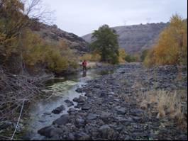 Reach 10 extends from the confluence with Badger Gulch upstream for approximately 1 mile to an unnamed tributary.
