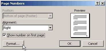 Click on the Format button. The Page Number Format window will appear on your screen. 3.