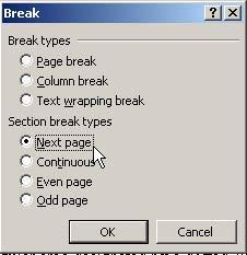 From the drop-down menu that appears please click on Break. A dialog box will appear. 4.