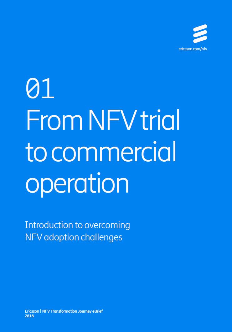 Where do you start the journey to NFV and will it deliver?