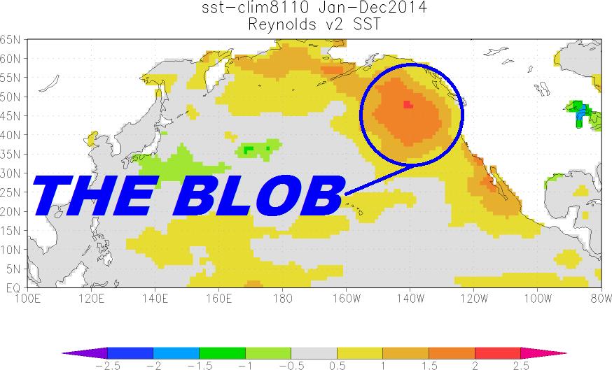 The Blob is a large mass of warm water in the Pacific Ocean off the coast of North America. It was first detected in late 2013 and is expected to continue through 2015.