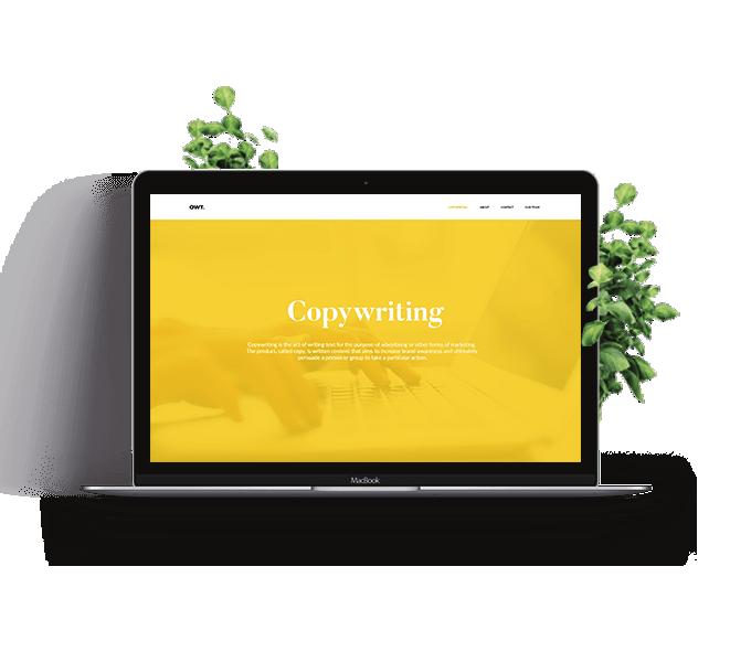 COPYWRITING By engaging a professional copywriter for creating a new website or improving an existing one, you could save both time and money.