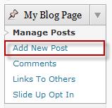 Step-by-Step Instructions: SEO Smart Blog Posts Step 1: Insert Keyword Phrase in
