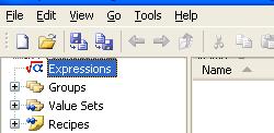 3 Expressions You can now right-click Expressions in the left window pane and select New, Folder. 3.1 Add Folders Figure 2: New Expression Folders are used to logically organize the expressions.