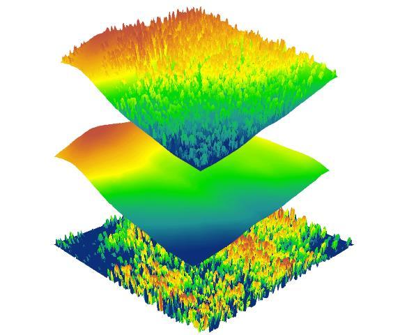 Forest parameters extraction Figure 3 Digital