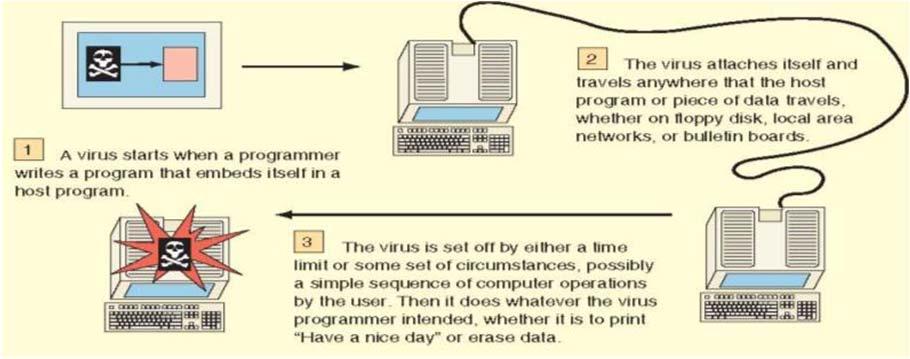 03. Programming Attack Viruses The most common attack method is the virus a program that attaches itself to ( infect ) other computer programs, without the owner of the program being aware of the