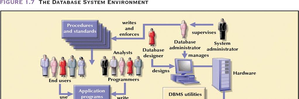 The Database System