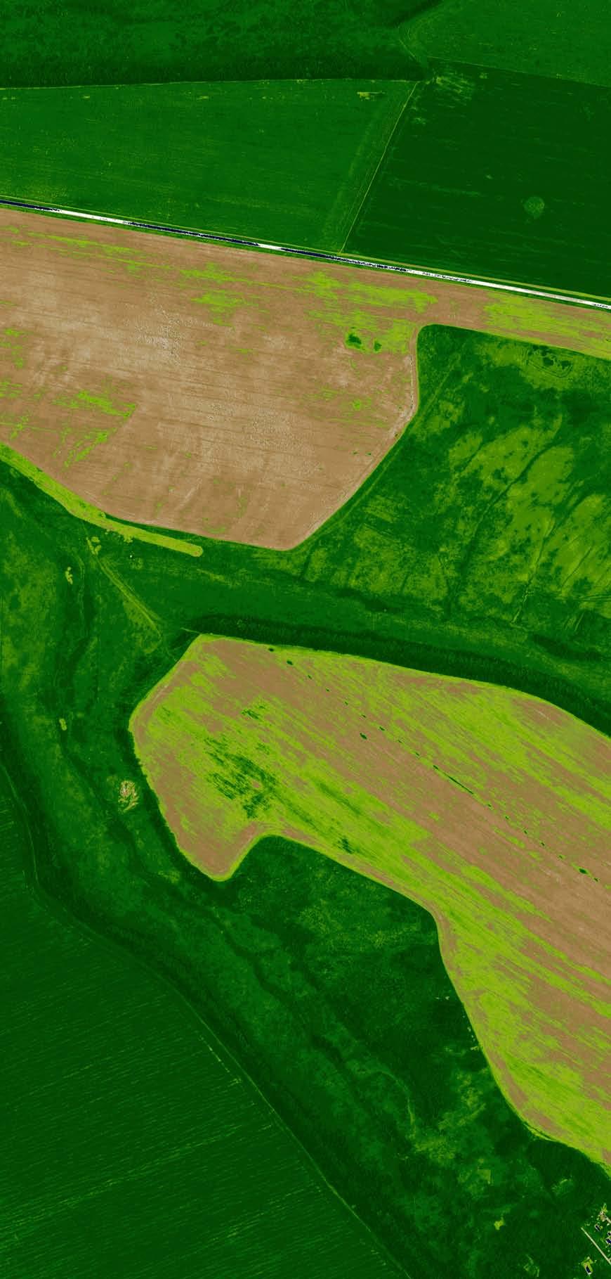 Customized vegetation index calculation for Precision Agriculture & Environmental Management With support for panchromatic, multispectral and thermal imagery, Metashape seamlessly integrates into
