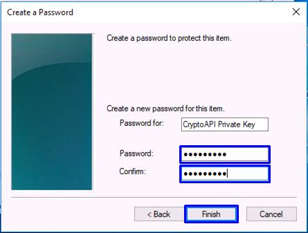 [Password:] box and the same string in the [Confirm:] box. Click [Finish (F)].