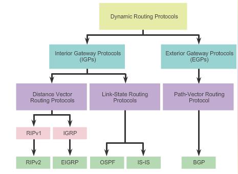 23 Classifying Routing Protocols Types of routing protocols: