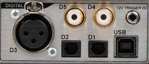 Rear Panel Inputs output D5 even if the format cannot be decoded by the DAC3 DX. The digital inputs support PCM stereo AES/EBU and SPDIF digital formats. Maximum word length is 24-bits.