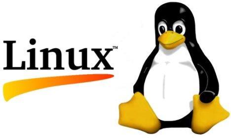 A Family of Operating Systems Linux refers to a family of operating systems modeled off of Unix Can perform many of the same functions as Windows or OS X Built in a collaborative, open-source