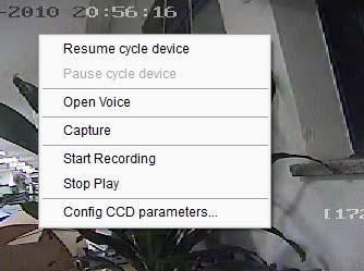 Click Pause cycle key to pause all the cycling window divisions. If the current window is in the device/group cycle mode, right click the paused window, click Resume cycle device to restart cycling.
