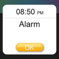 ALARMS Alarms can be set both from within the