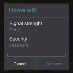 Although it is possible to connect the device to Wi-Fi from the