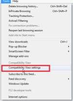 How can I adjust Internet Explorer View settings?