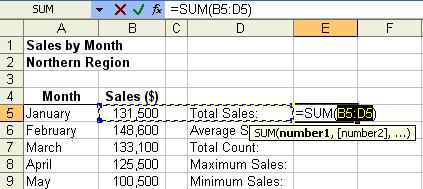 To calculate the sum of sales for the 12 months, click the