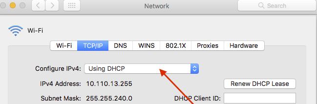 In the new Window Click the DNS Tab o Take note of the Addresses shown The correct values for IP and DNS Address are as follows: Main