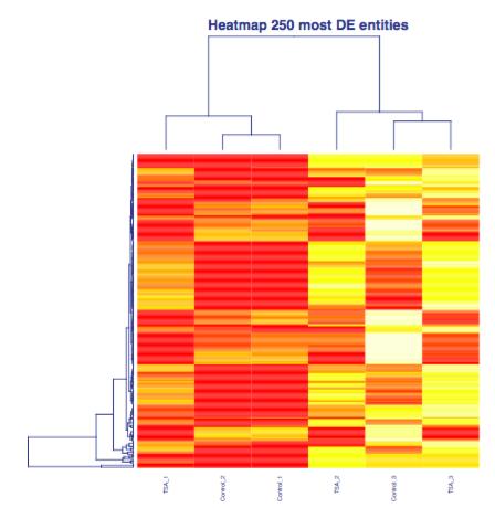 -Heatmap: The heatmap allows to the user evaluate the similarity between the samples according to the 250 most expressed mrnas expression. 3. Results plots of the analysis.