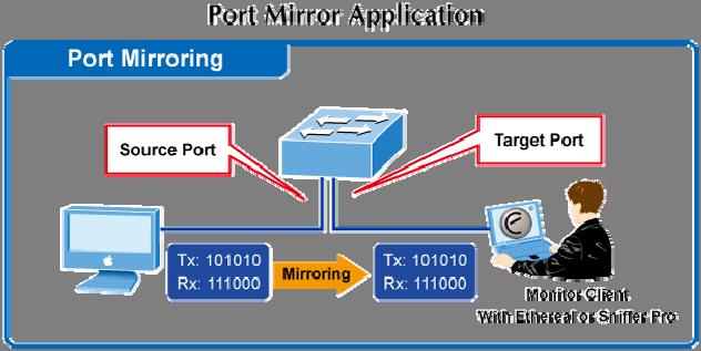 Button : Click to apply changes 4.3.2 Port Mirroring Configure port Mirroring on this page.
