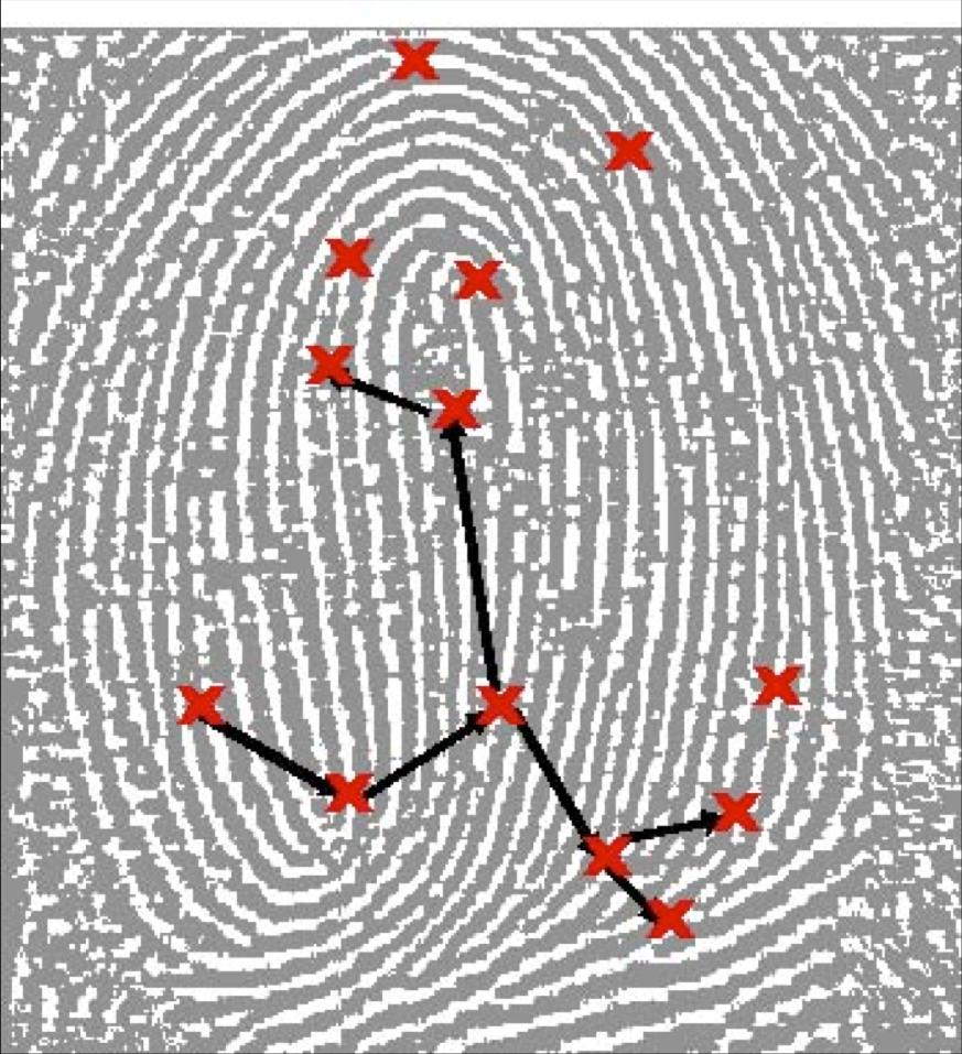 Fingerprint Biometrics Graph is compared to database of authentic identities If graph is same, then person deemed authentic Problem: what