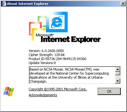 Installing/Upgrading Microsoft Internet Explorer If needed, you can install or upgrade your server and each computer on the LAN with a version of Microsoft Internet Explorer that supports 128-bit