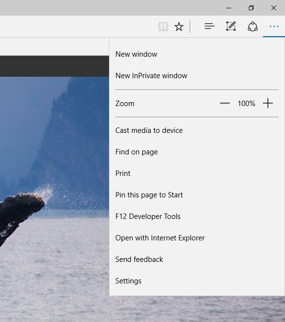 EDGE MENU OPTIONS Most Common features used from this menu are: Zoom Print (can also press CTRL + P to print) New InPrivate Window opens new