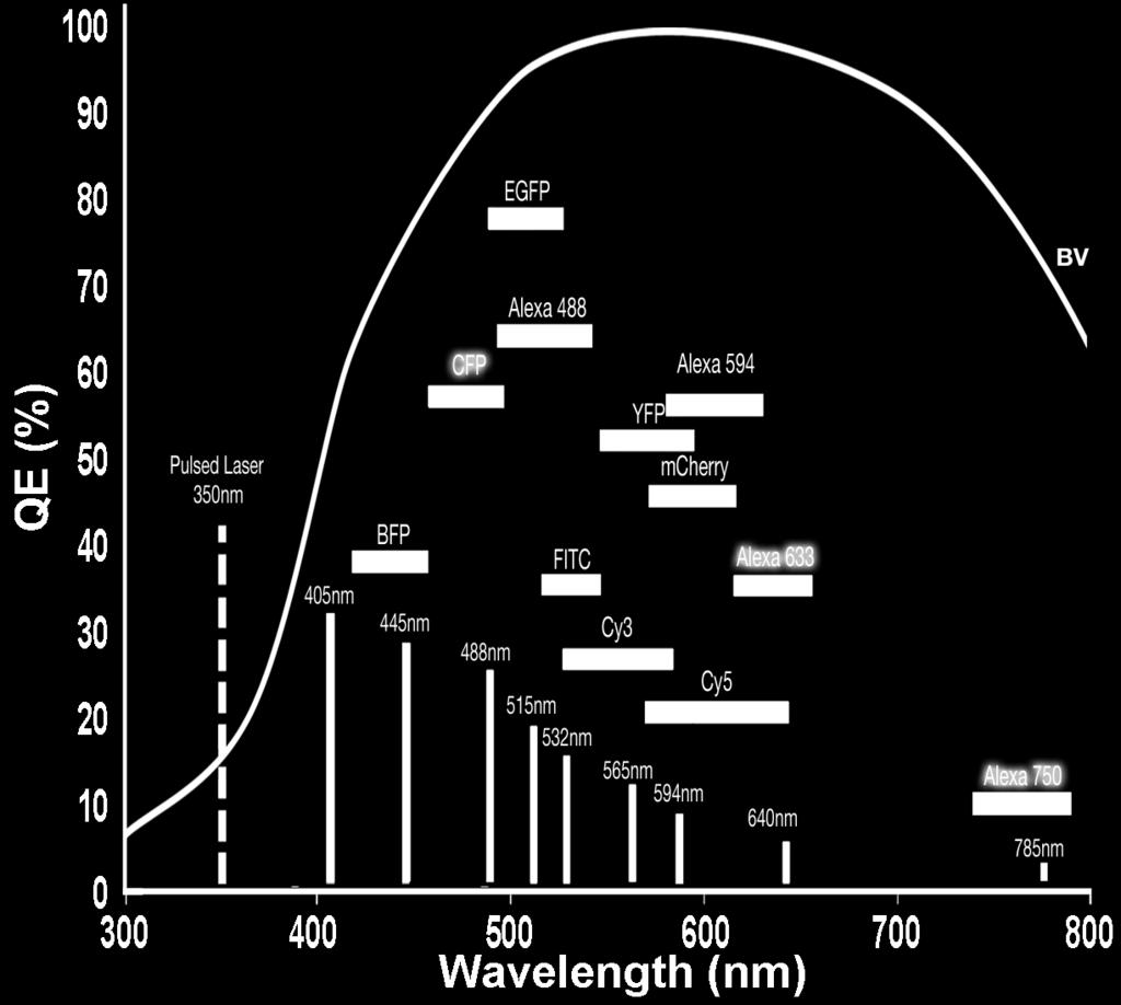 ixon3 860 Quantum Efficiency Curves QE v Fluorophores Curve 9 100 BV 90 80 70 QE (%) 60 50 40 UVB 30 20 10 0 200 300 400 500 600 700 800