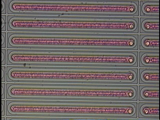 Si pixel detector 50 µm 14,080 pixels (128