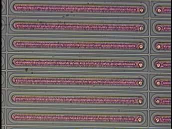 23Million pixels in the full pixel detector