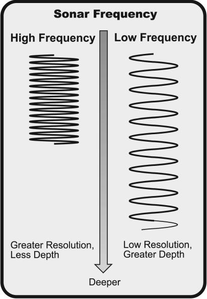 High frequencies (200 khz) are commonly used on consumer sonar and provide a good balance between depth performance and resolution.