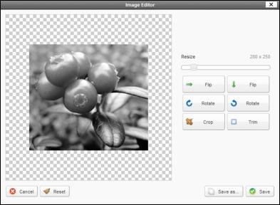 Image Editor The Image Editor allows you to resize, flip, rotate, and crop images.