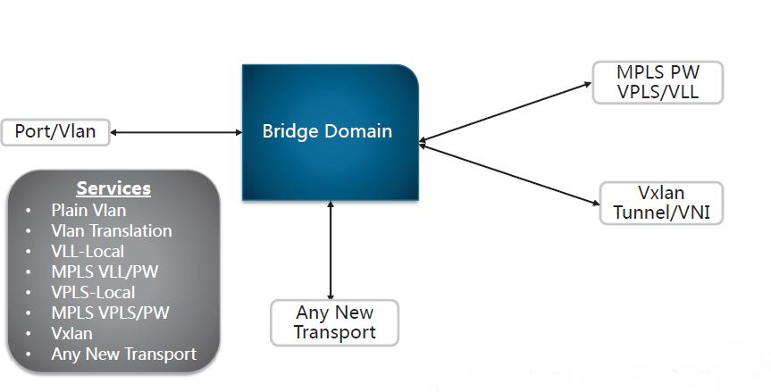 Bridge domain and