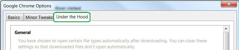 3. Under "Google Chrome Options" window select